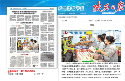 豪门国际西北集团珑樾府项目高温慰问——《陕西日报》